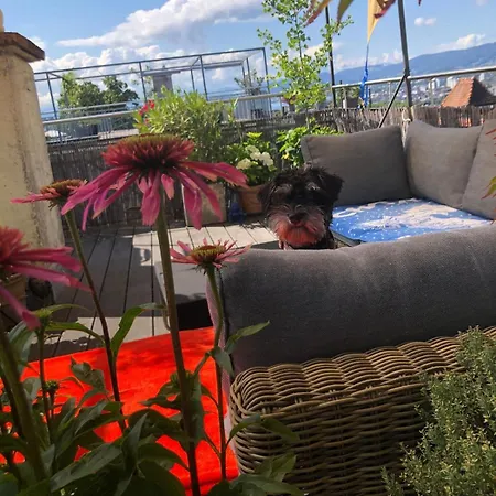 Privatunterkunft Designer With Rooftop