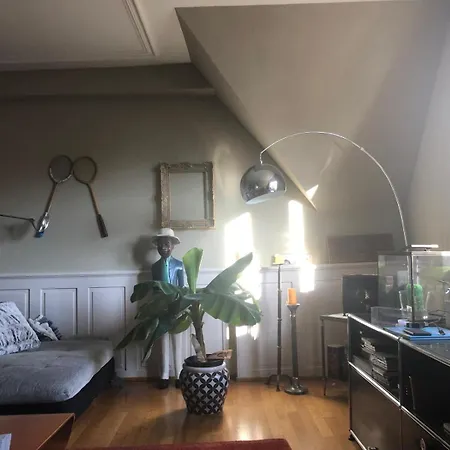 Designer With Rooftop *