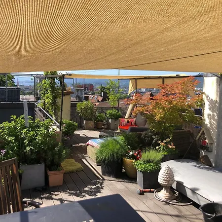 Designer With Rooftop Rum i privatbostad