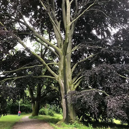 Quarto em Acomodações Particulares Designer With Rooftop